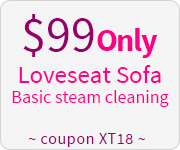 Loveseat Sofa - Basic Steam Cleaning, Only $99