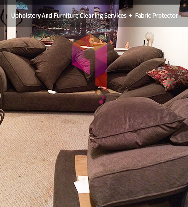 Upholstery Cleaning Services in Port Washington