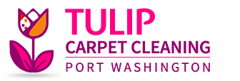 carpetcleaningportwashingtonny.com