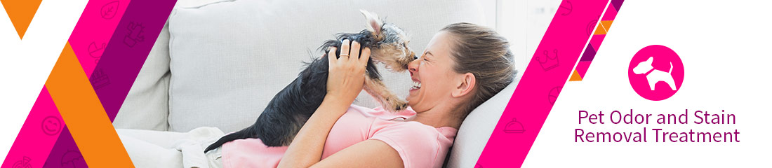 Pet Odor & Stain Removal
